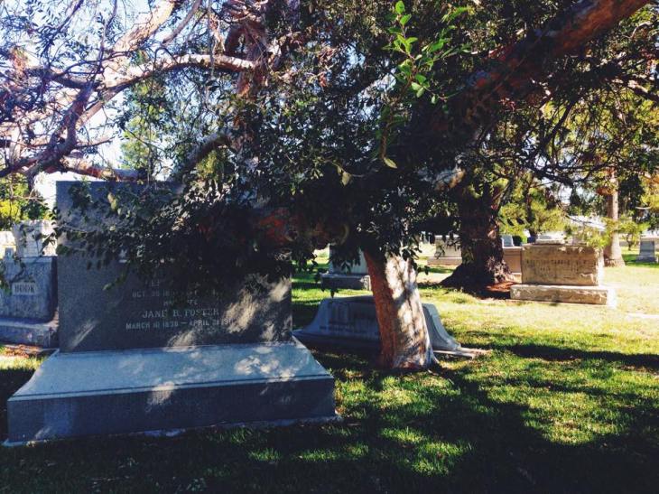 10409511_10152380295661302_1569877245525800548_n