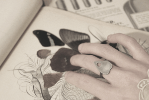 Screen Shot 2015-12-13 at 5.02.02 PM