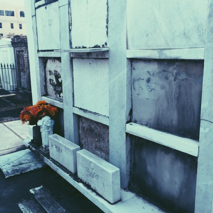 Processed with VSCO with p5 preset