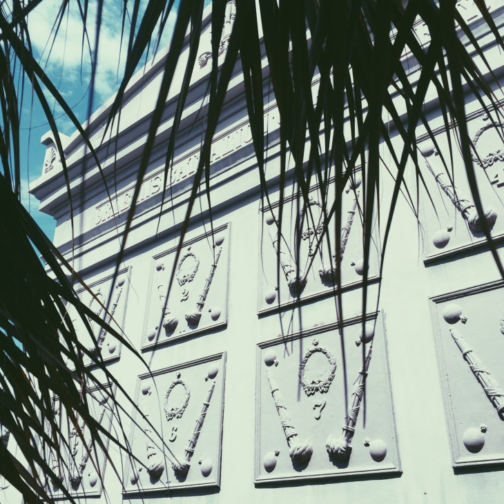 Processed with VSCO with p5 preset