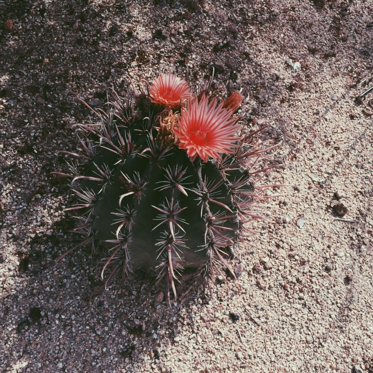 Processed with VSCO with p5 preset