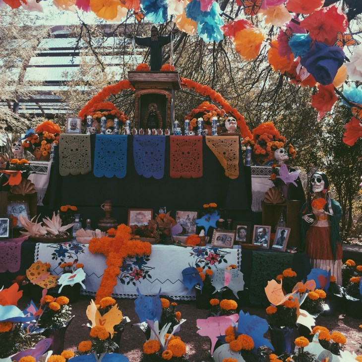 Processed with VSCO with p5 preset