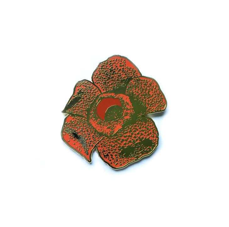 pin_rafflesia