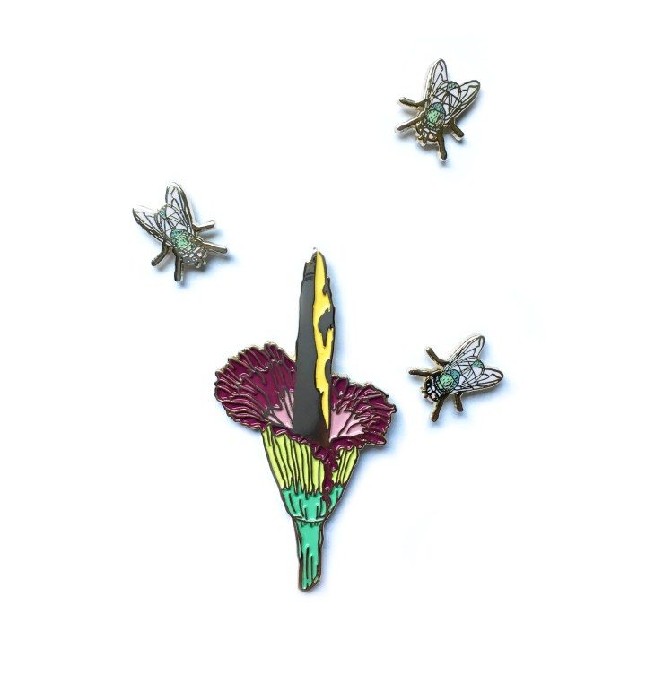 pins_titanarum_3flies