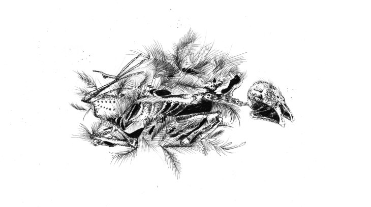 sticker_decayed bird